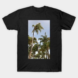 Palm Trees Aruba Caribbean T-Shirt